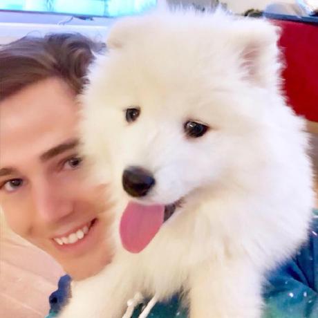 Awesome：GitHub星标数量第一的超级资源列表，找到你需要的任何工具-壹联网络