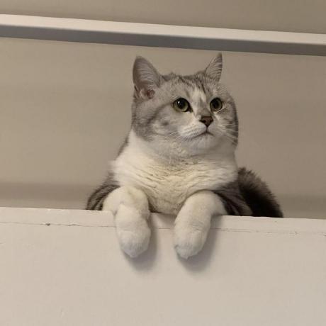 Cockpit Tools：AI IDE 多账号管理神器，一键切换配额监控-壹联网络