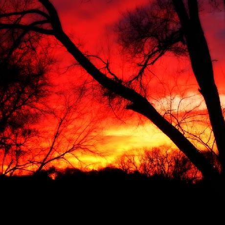 HexStrike AI:AI 智能体驱动的网络安全自动化平台,150+ 工具一键调用-壹联网络