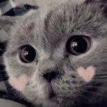 AI驱动的股票智能分析系统:每日自动推送A股/港股/美股买卖点位-壹联网络