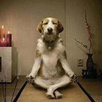 HelloGitHub: 让小白也能轻松找到开源的乐趣-壹联网络