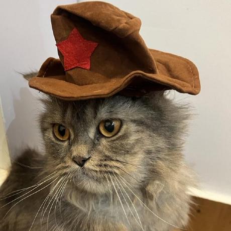 Graphify:把代码、文档、图片变成可交互知识图谱的Claude Code技能-壹联网络